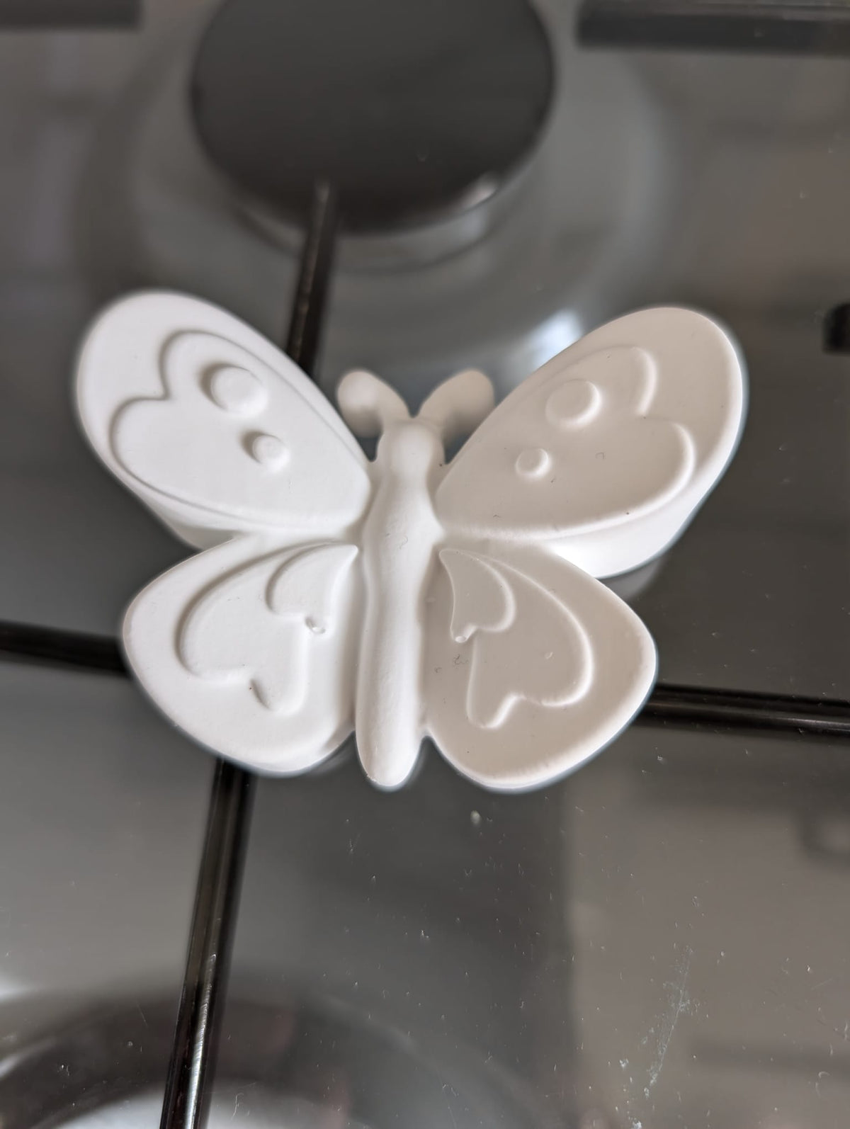 Paint Your Own Butterfly