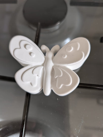 Paint Your Own Butterfly
