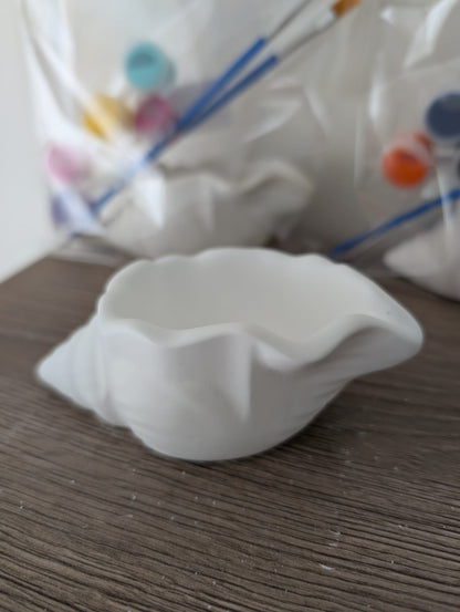 Paint Your Own Shell Planter & Trinket Dish